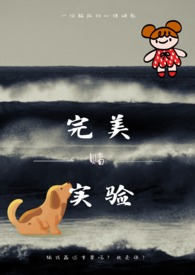 完美实验是什么意思